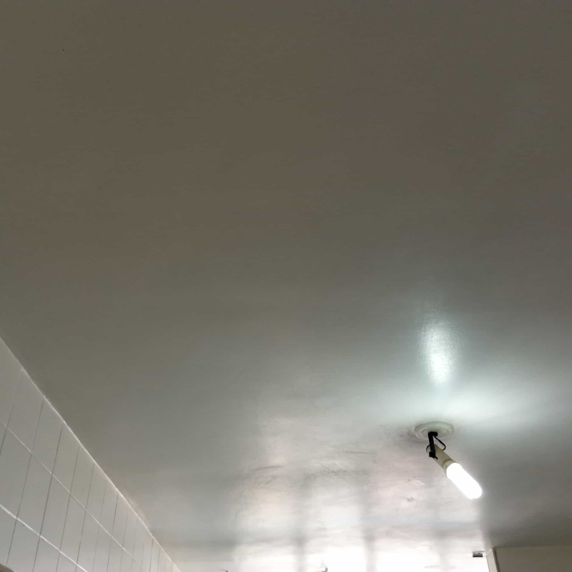 Reforma em progresso